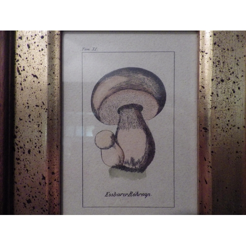 1130 - A pair of ink and watercolours, still-life mushrooms, framed and glazed, 10cm x 7cm image sizes