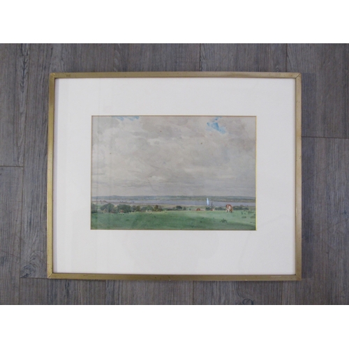 4316 - HENRY H. BATES: 20th Century watercolour depicting Broads river view with cow to foreground, 25cm x ... 