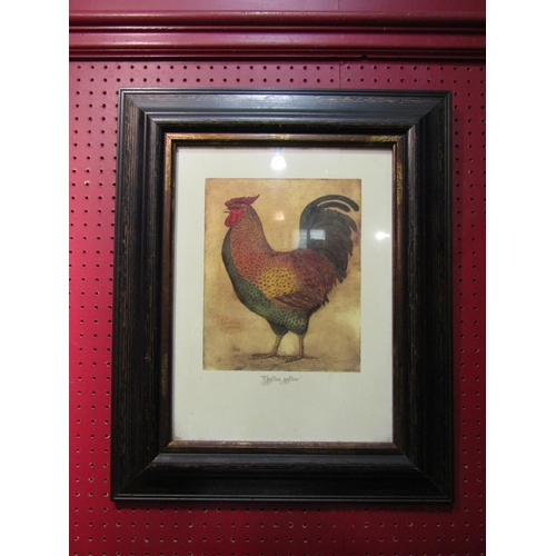 4037 - A print of a cockerel 