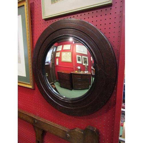 4113 - An early 19th Century oak circular frame convex wall mirror, 48cm diameter