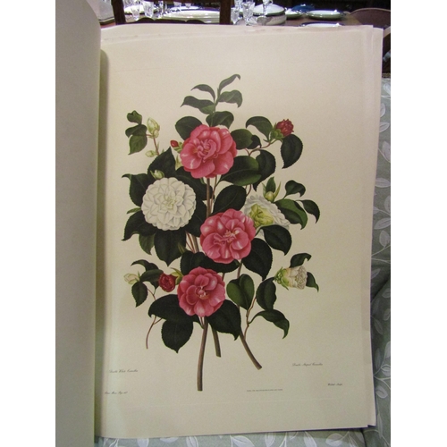 4185 - Two folios by Arch, Cornhill, London 1819 containing engravings of floral illustrations  (E) £10-20