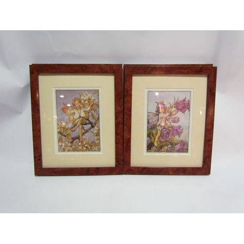 4301 - Four framed and glazed flower fairy prints, 17cm x 11cm