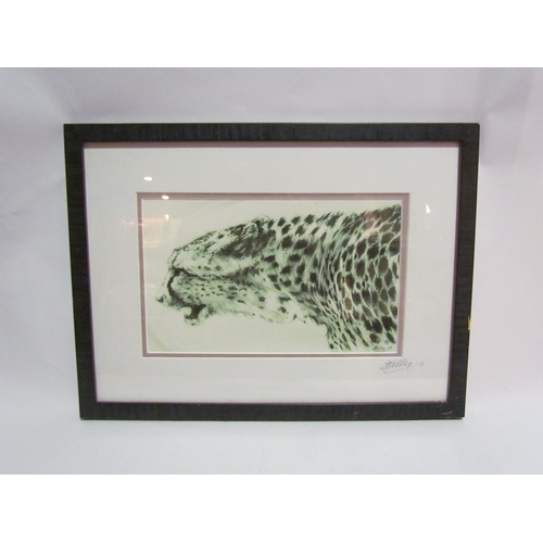 4305 - A Leopard portrait pencil signed by artist lower right, framed and glazed, 16cm x 27cm