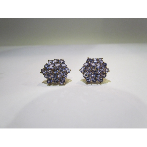 4414 - A pair of 9ct tanzanite cluster earrings. Approx 4g widest point approx 20mm