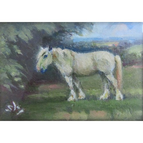 6107 - STEPHEN WALKER (1900-2004) Two miniature oils of horses, framed and glazed. 10cm x 9cm & 6.5cm x 9cm