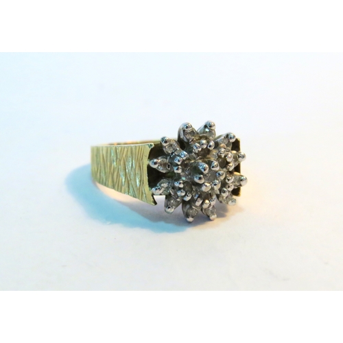 1269 - An 18ct gold diamond cluster ring with bark effect shank. Size J, 5g (C)