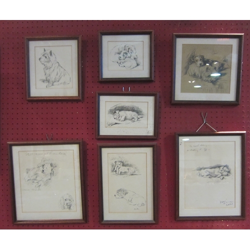 1056 - Seven various hand drawn pictures of dogs, framed and glazed