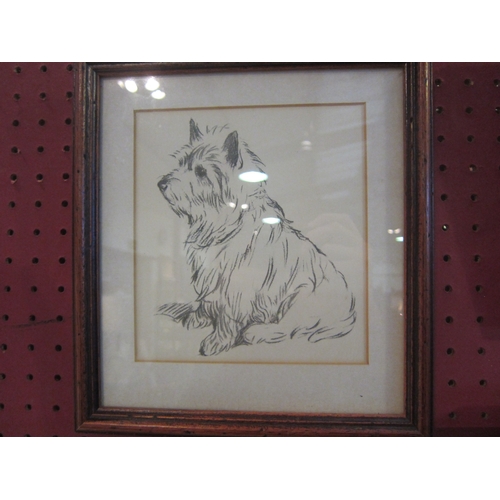 1056 - Seven various hand drawn pictures of dogs, framed and glazed