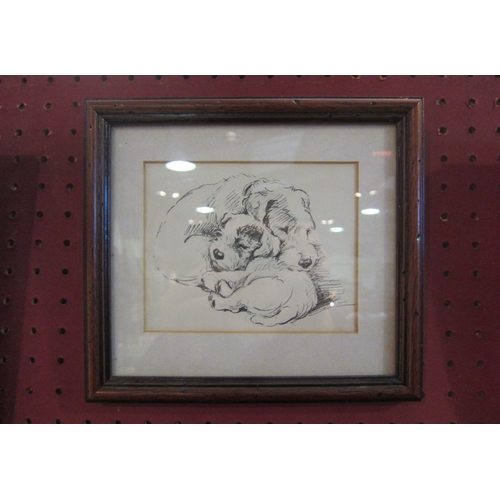 1056 - Seven various hand drawn pictures of dogs, framed and glazed