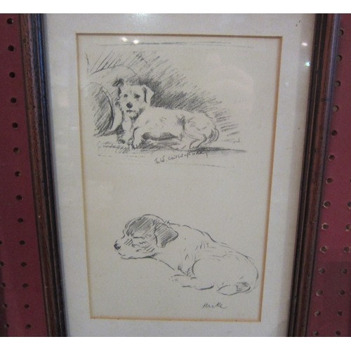 1056 - Seven various hand drawn pictures of dogs, framed and glazed