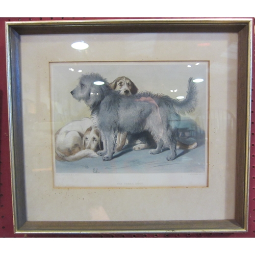 1057 - A late 19th / early 20th Century print after Landseer 'The Three Dogs', 20.5cm x 25cm, framed and gl... 