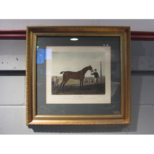 1076 - A Victorian print of King Herod horse, framed and glazed, 36cm x 40cm