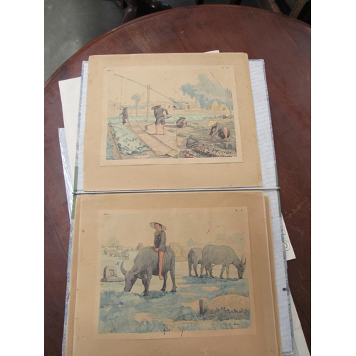 2136 - Three early 20th Century oriental  farming prints by Coll        (E) £20-30