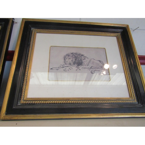 1386 - A pair of modern prints depicting elephant and recumbent lion, gilt ebonised frames, 19cm x 29cm ima... 