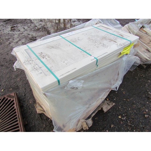 3183 - A pallet of unused porcelain slabs 600mm x 1200mm x 20mm      (R) £100