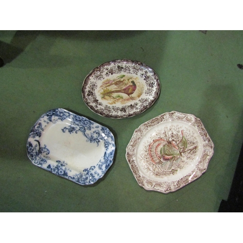 4058 - Three meat plates including Johnson Brothers Windsor Ware Wild Turkeys, Palissy Game series and blue... 