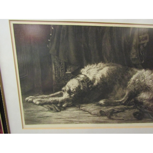 4120 - A Herbert Thomas Dicksee 1893 print of recumbent dog, 