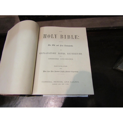 4206 - A Victorian illustrated family bible