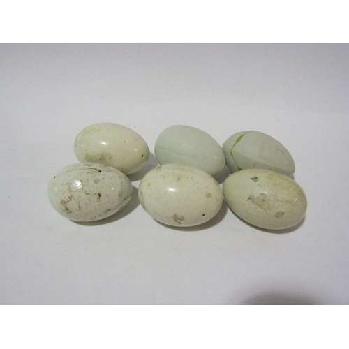 4312 - Six Decoy hens eggs   (R) £25