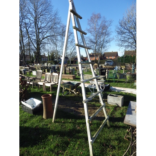 7297 - A timber orchard ladder  (R)  £30