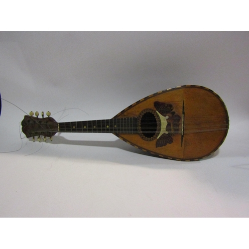 4234 - A Stridente, Napoli, inlaid rosewood bowl back mandolin