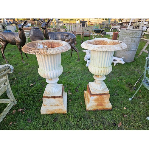 7354 - A pair of cast iron urns on plinths, egg and dart detail to rim, 38