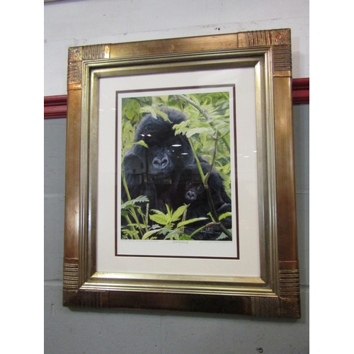 1050 - STUART J. MALLARD: A limited edition print of a Gorilla No. 10/500, pencil signed by artist, in orna... 