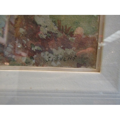 1075 - HENRY P. STEVENS (local artist): Two framed and glazed watercolours 