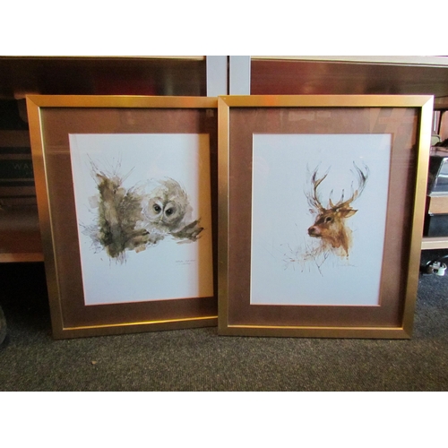 1229 - A pair of prints, owl on branch, stags head, 32cm x 25cm image sizes, both framed in gold coloured f... 