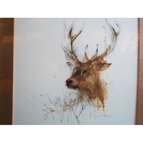 1229 - A pair of prints, owl on branch, stags head, 32cm x 25cm image sizes, both framed in gold coloured f... 