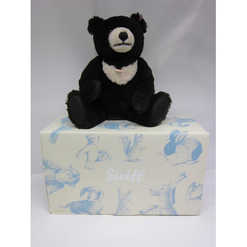 8284 - A boxed Steiff 'Moon Ted' teddy bear no. 036491, the dark brown mohair bear with cream chest and muz... 