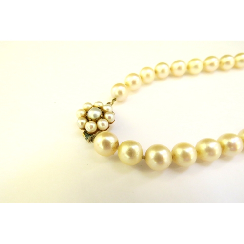 9247 - A pearl necklace with 9ct gold clasp, 40cm long  (R)  £80