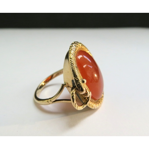 9038 - A gold ring with an oval cabochon cornelian in a snake surround, stamped 9ct. Size Q/R, 2.5cm x 2cm,... 