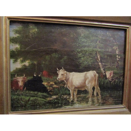 4050 - An oil on board depicting cattle in a river, gilt framed, possible signature artist to verso, a/f, 1... 