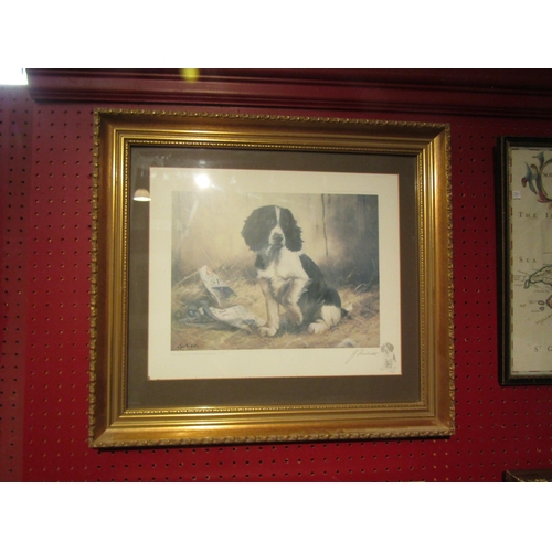 4075 - A John Trickett limited edition pencil signed print depicting a spaniel, No. 315/850, framed and gla... 