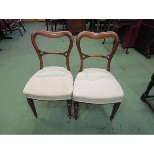 4099 - A pair of William IV mahogany chairs with kidney shape back rest and carved horizontal bar rests the... 