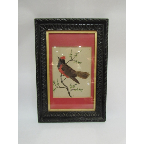 4263 - A watercolour and feather image of bird on branch in ornate carved frame, 20cm x 15cm