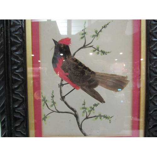 4263 - A watercolour and feather image of bird on branch in ornate carved frame, 20cm x 15cm