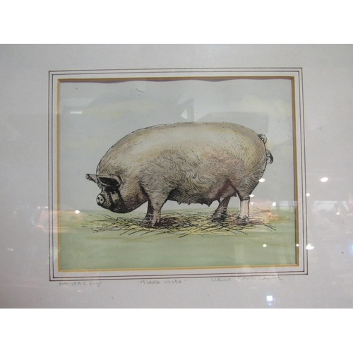 4276 - After Dietrich an engraving depicting sheep published by W. B. Cooke 1822, two limited edition print... 