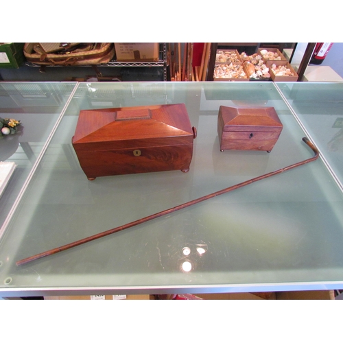 1441 - A mahogany sarcophagus tea caddy together with a smaller caddy and a silver topped bamboo walking st... 