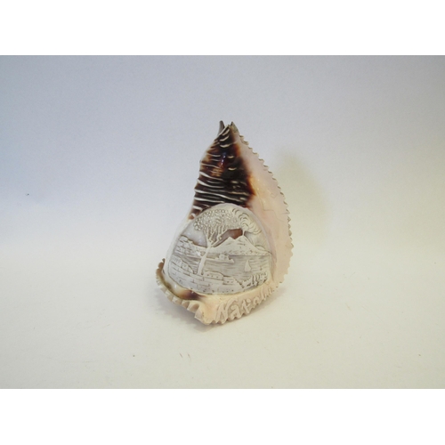 1338 - A Victorian carved conche shell - Mount Vesuvius, 12cm tall