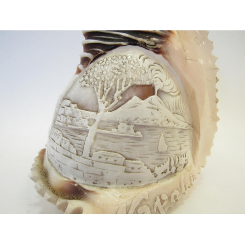 1338 - A Victorian carved conche shell - Mount Vesuvius, 12cm tall