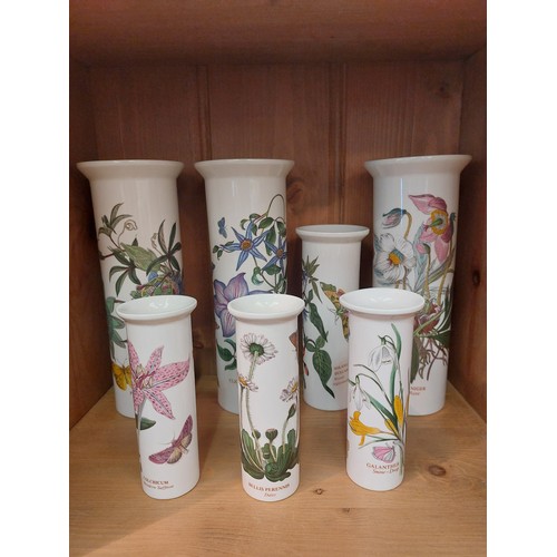 1041 - A collection of Portmeirion 'Botanic Garden' pattern vases, various sizes