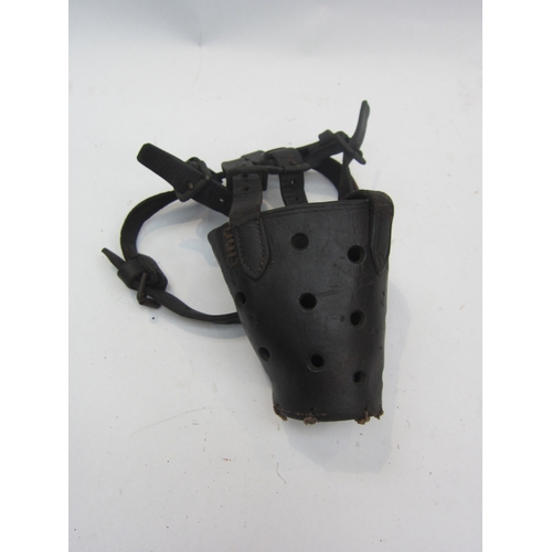 5035 - A leather hound muzzle