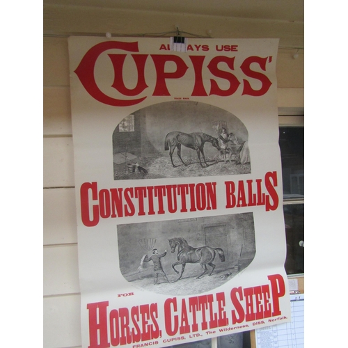 5134 - A Cupis Constitution Balls poster depicting a horse 'out of sorts' and 'all right'