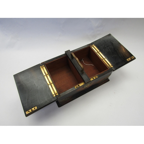 5164 - An oak and ebonised two compartment Cigars/Cigarettes box