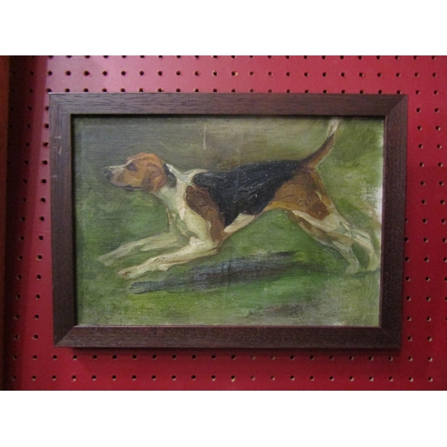 4035 - An oil on board of a running foxhound, framed, 19cm x 27cm image size