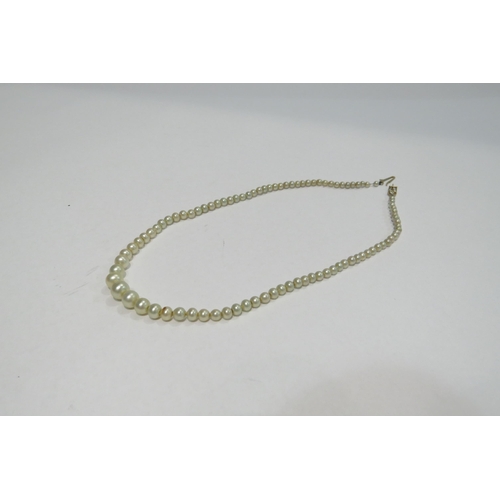 4376 - A single strand pearl necklace with 9ct gold clasp, 49cm long