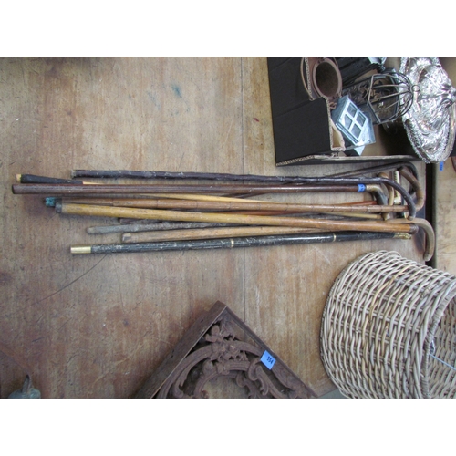 2041 - Nine walking sticks and canes to include horn handled, gold band, brass bird handled example etc