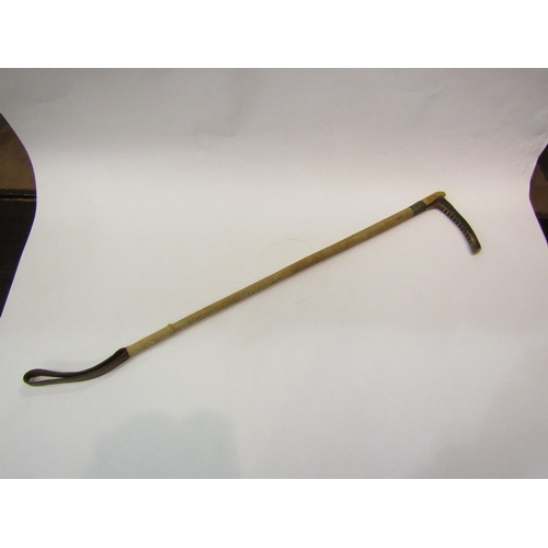 4186 - A riding crop with horn handle